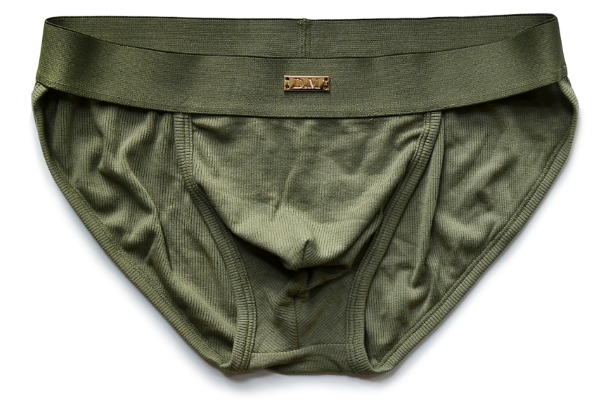 DM series Underwear 017 - high split brief