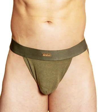 DM series Underwear 017 - high split brief