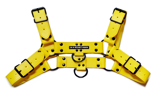 DM series PU Harness - 1